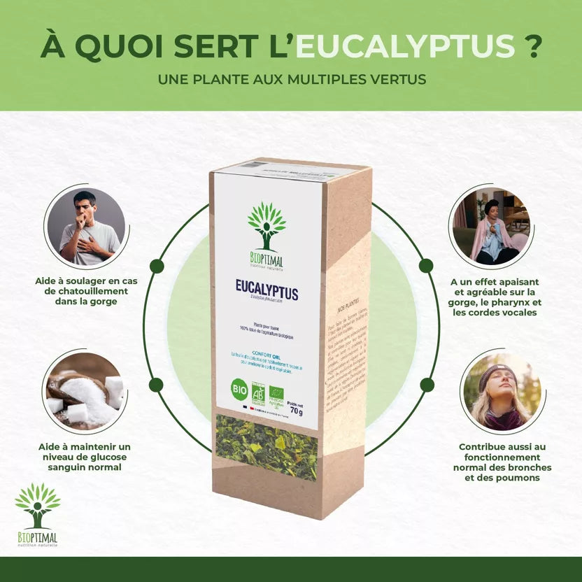 Eucalyptus Plant for Organic Herbal Tea 70g