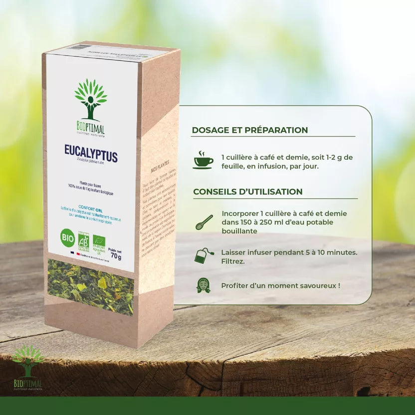 Eucalyptus Plant for Organic Herbal Tea 70g