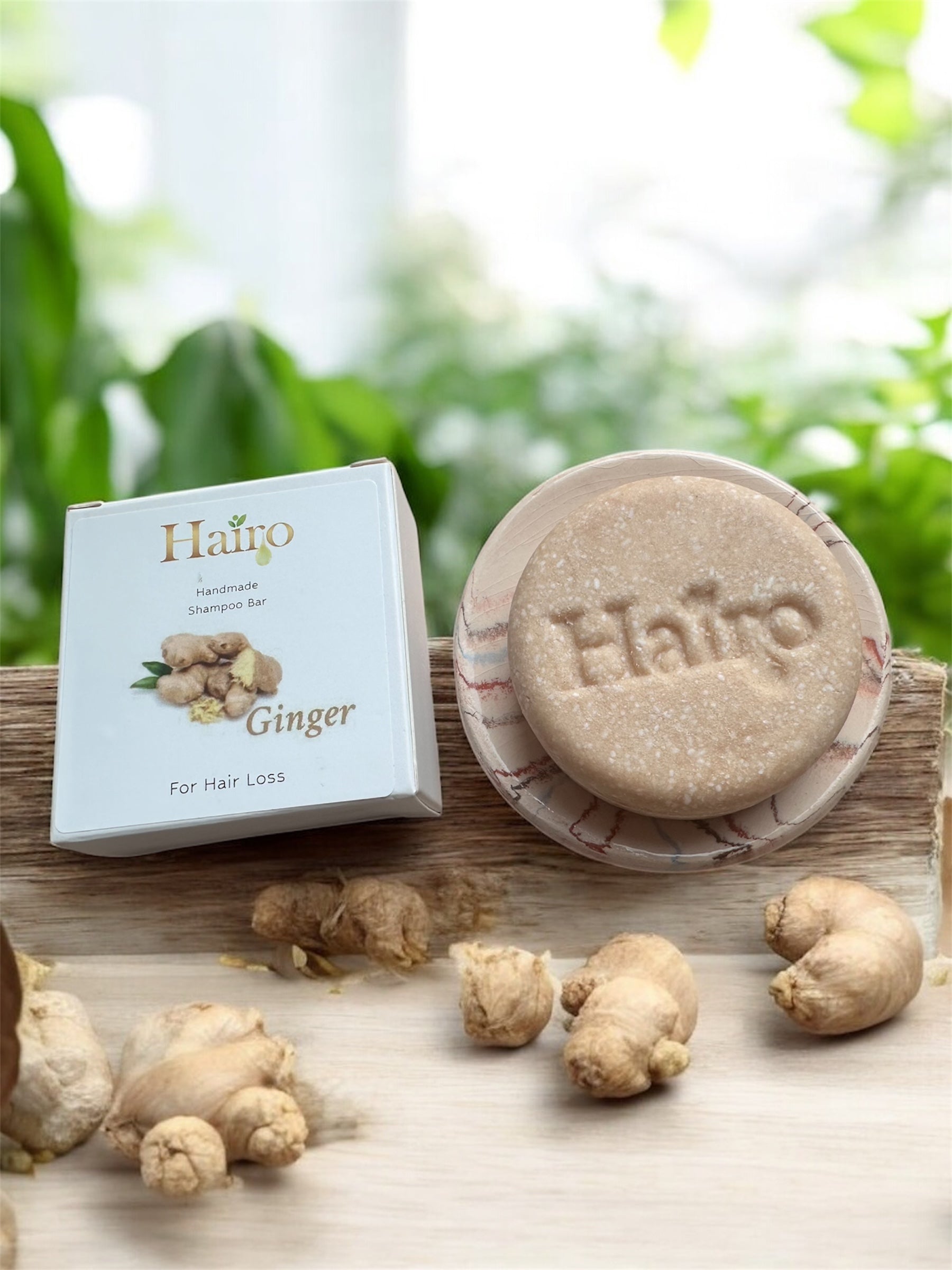 Hairo Ingefära Shampokaka