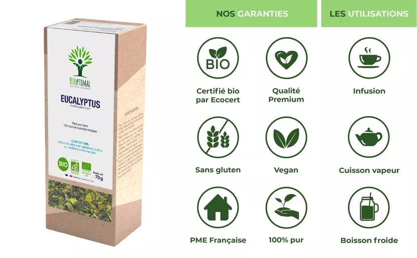 Eucalyptus Plant for Organic Herbal Tea 70g