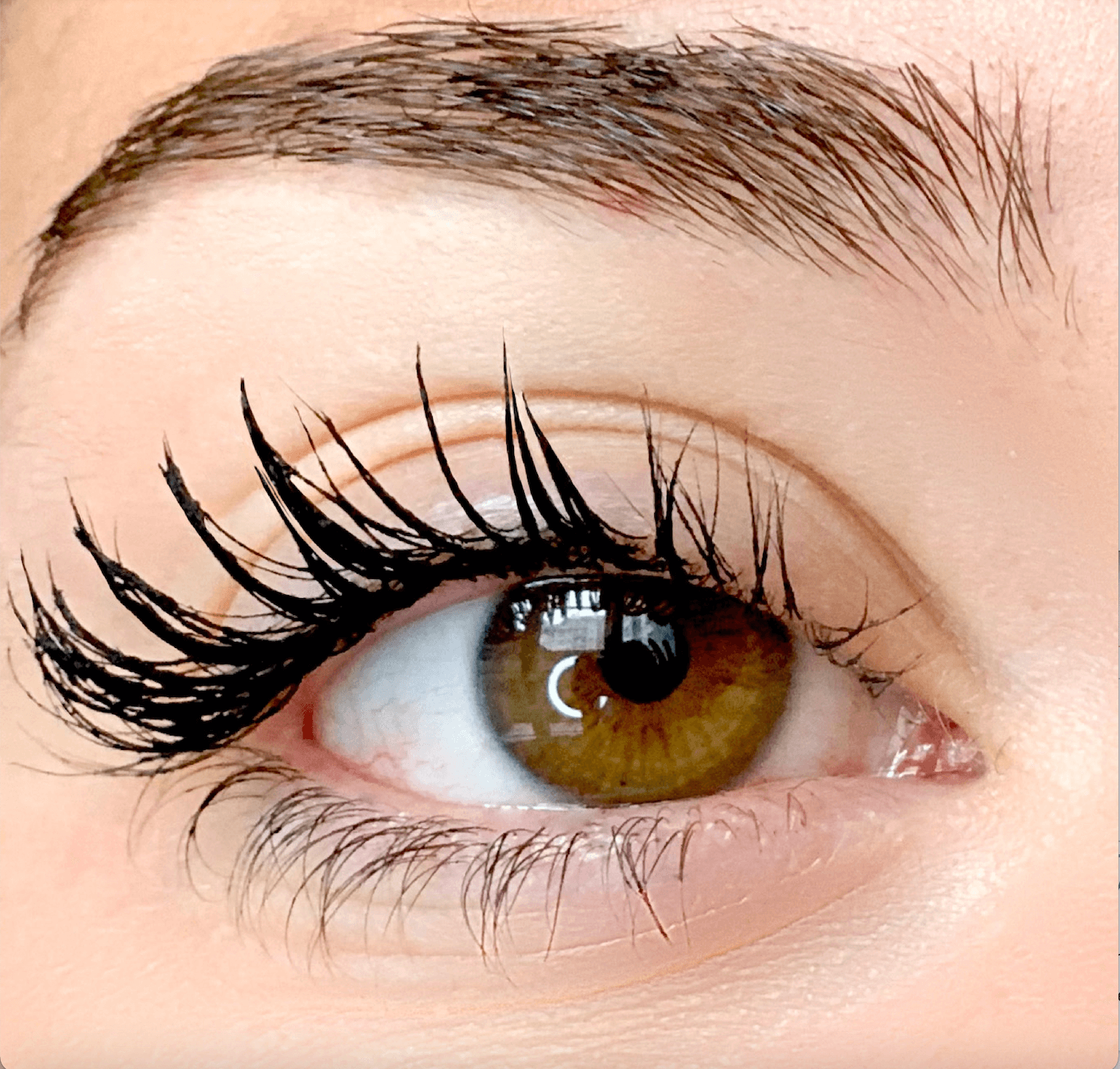 Organic Mascara - Perfect Curl