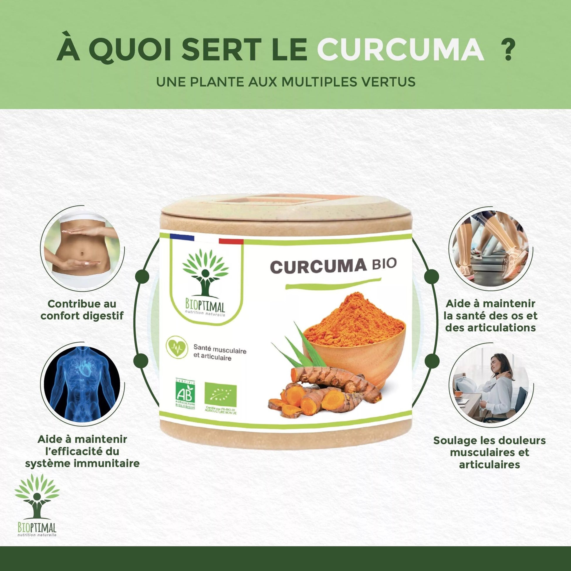 Curcuma Bio
