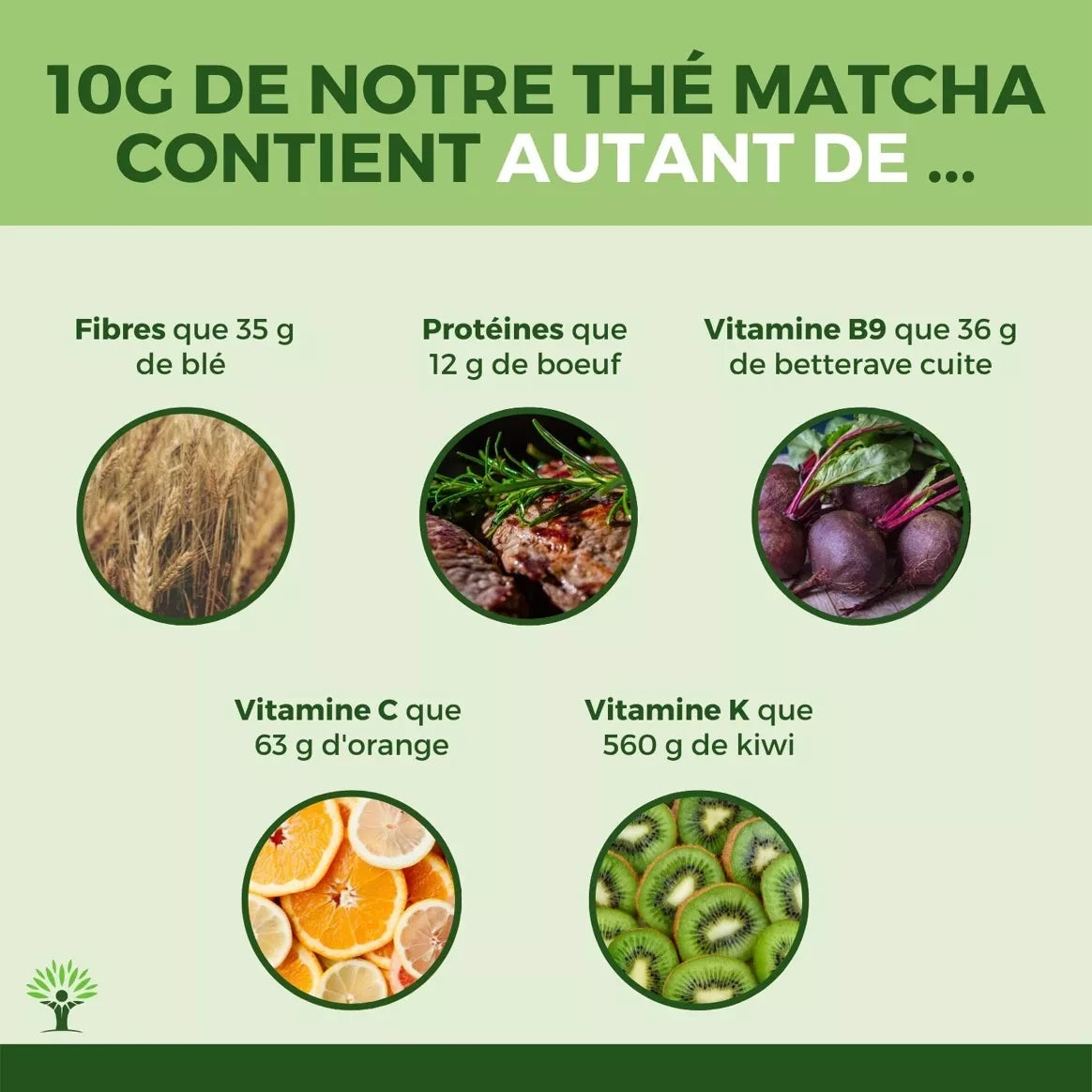 Matcha Bio